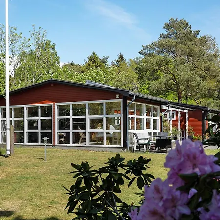Lovely In Recreation Area